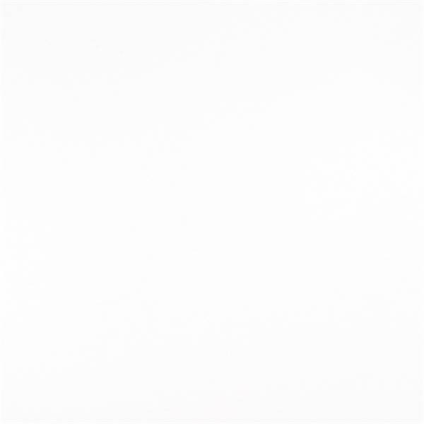 ODT White Solid Outdoor Polyester Fabric by Premier Prints - By the 30 Yard Bolt